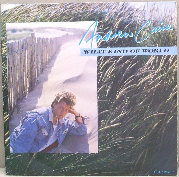 Andy Caine - What Kind Of World