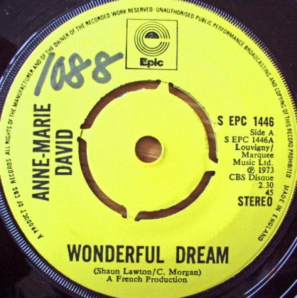 Anne-Marie David - Wonderful Dream
