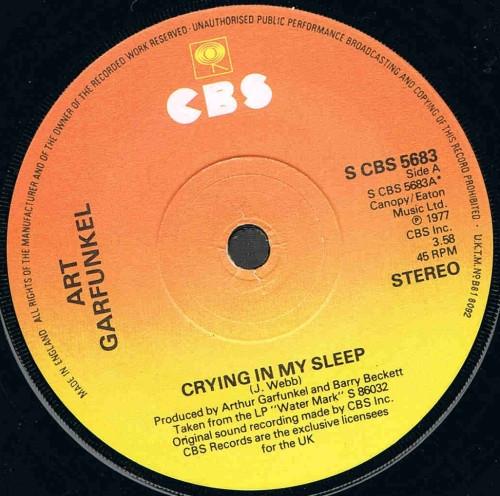 Art Garfunkel - Crying In My Sleep