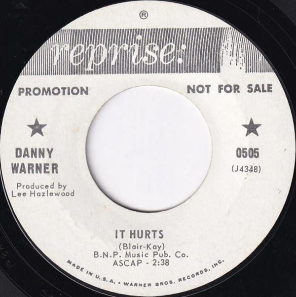 Danny Warner - It Hurts / Not The Lovin' Kind