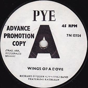 Richard Fitzgerald Ceili Band - Wings Of A Dove