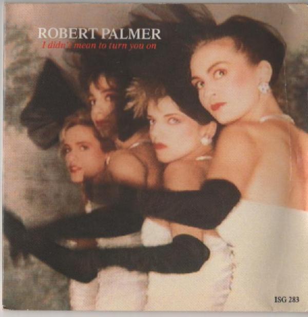 Robert Palmer - I Didn't Mean To Turn You On