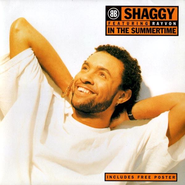 Shaggy, Rayvon - In The Summertime