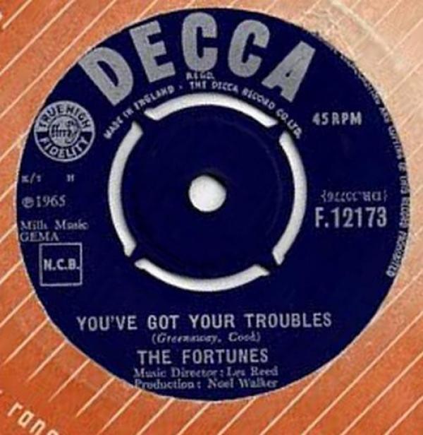 The Fortunes - You've Got Your Troubles