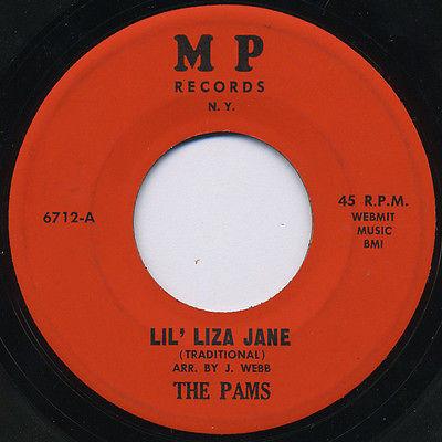 The Pams - Lil' Liza Jane