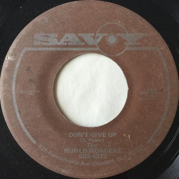 The World Wonders - Don't Give Up