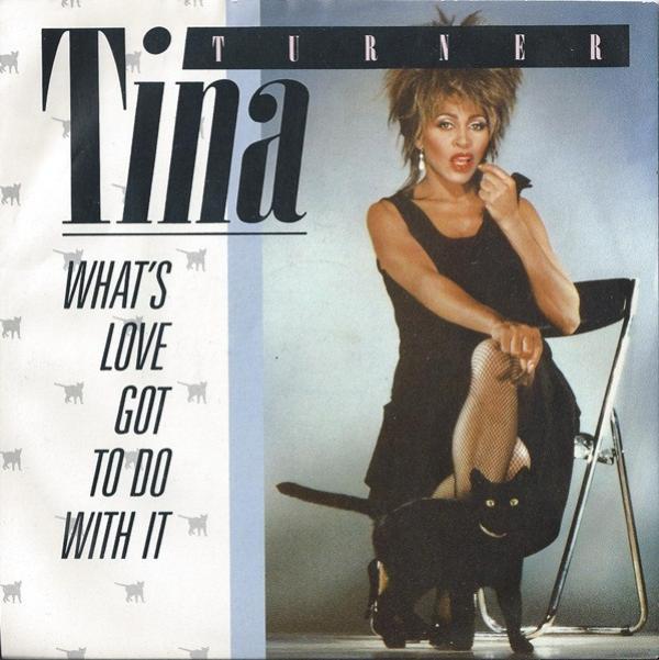 Tina Turner - What's Love Got To Do With It